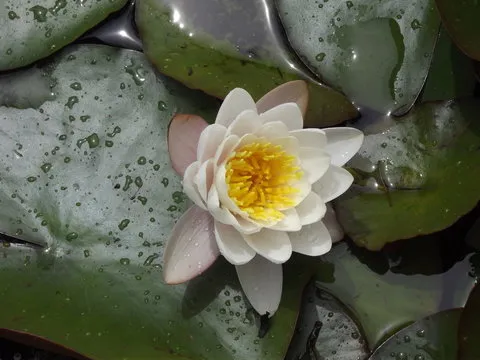 掌握数据奥秘：新手如何有效分析168极速赛车官网历史数据